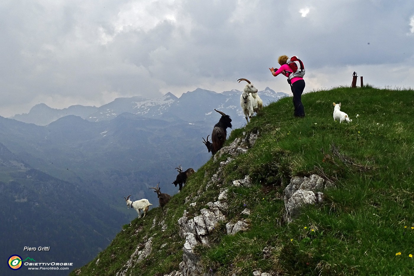 65 Cima di Monte Vetro (2054 m) con capre orobiche.JPG -                                
